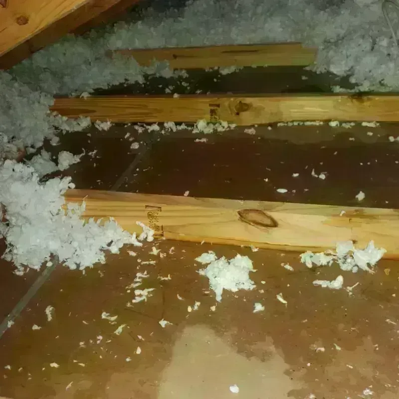 Attic Water Damage in Cade, LA