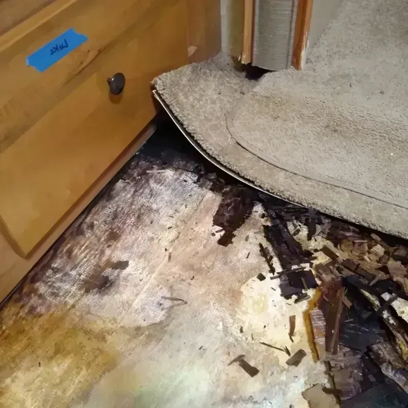 Wood Floor Water Damage in Cade, LA